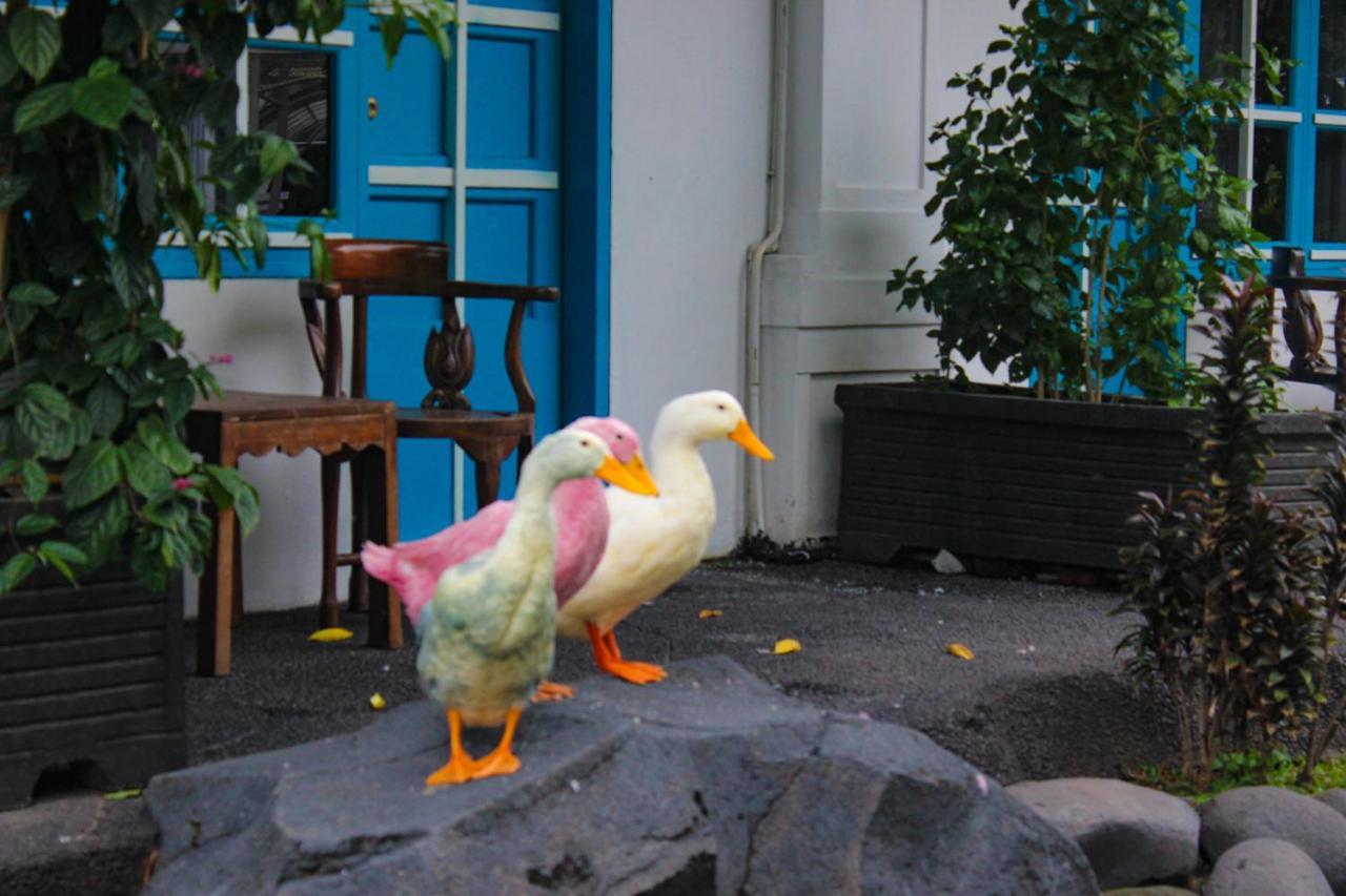 Hotel Merdeka Kediri Kediri  Exteriér fotografie